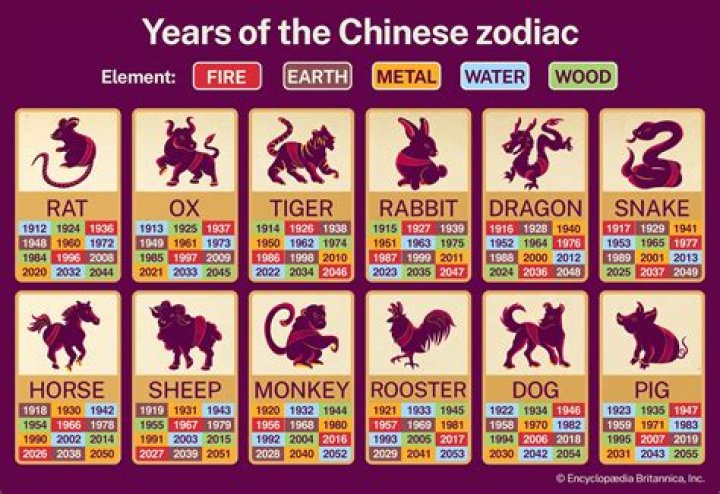 1984 Chinese New Year Animal: Discover the Year of the Rat and Its Cultural Significance