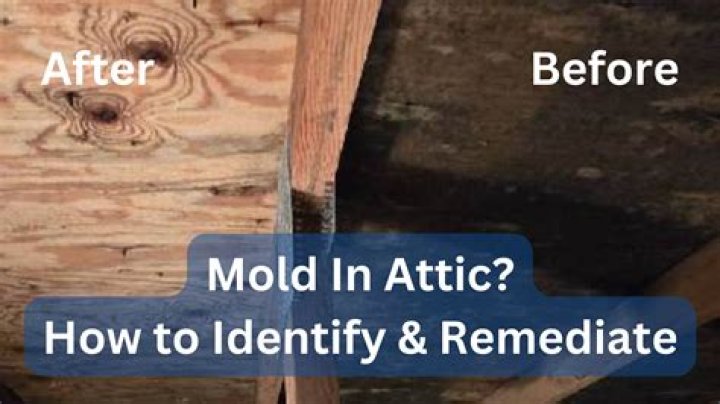 Attic Mold Removal Near Me: A Comprehensive Guide to Protecting Your Home and Health
