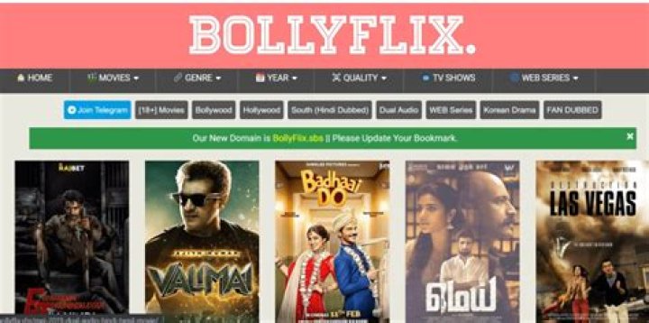 BollyFlix 300: Your Ultimate Guide to Streaming Bollywood Movies Online