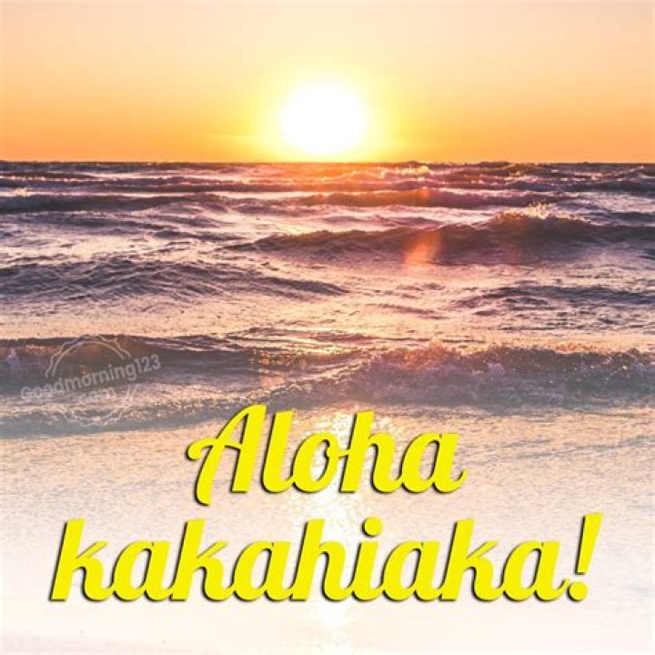 Hawaiian Well Wishes: A Guide to Spreading Aloha and Positivity