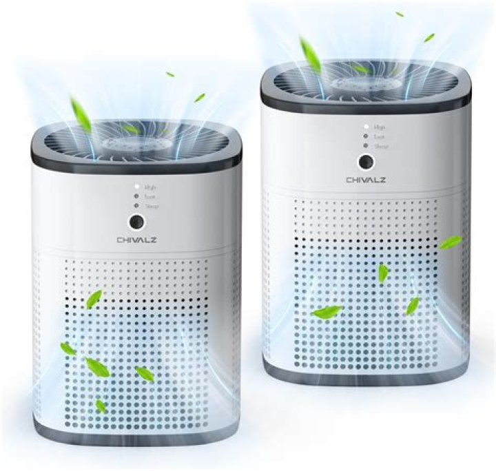 Ionic Air Purifier: A Comprehensive Guide to Cleaner and Healthier Indoor Air