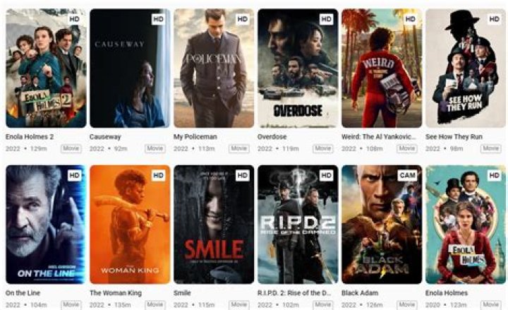 Movierulz 2024 Download: Everything You Need to Know About Streaming and Downloading Movies Online
