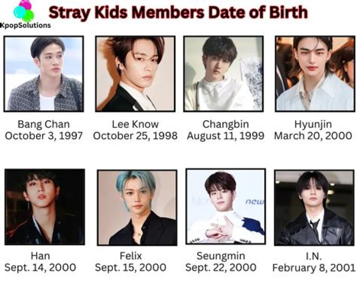 SKZ Age Order: Comprehensive Guide to Stray Kids Members