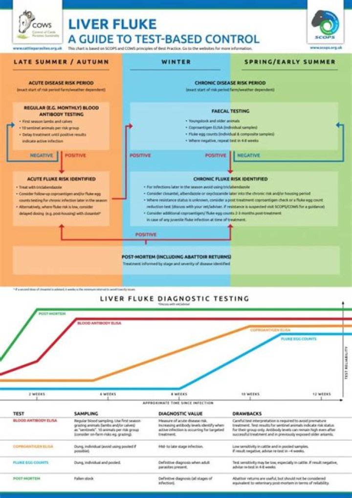 Tracy Scops: The Ultimate Guide to Her Life, Career, and Achievements