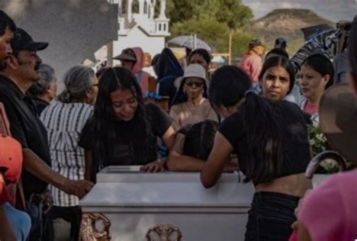 Videos Gore No Me Pises Pa: Exploring the Controversial Trend and Its Impact