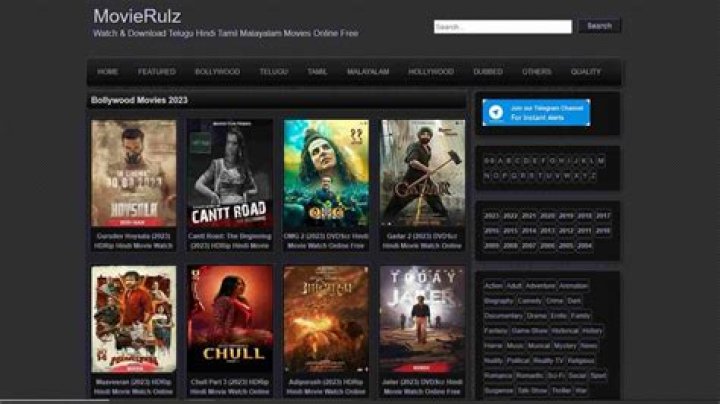 www.movierulz.plz: A Comprehensive Guide to Understanding the Controversial Movie Streaming Platform