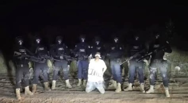 Ya No Me Pises Pa Gore: Understanding the Trend and Its Impact