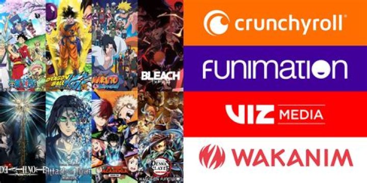 Zoro.to New Site: Your Ultimate Guide to the Best Anime Streaming Platform
